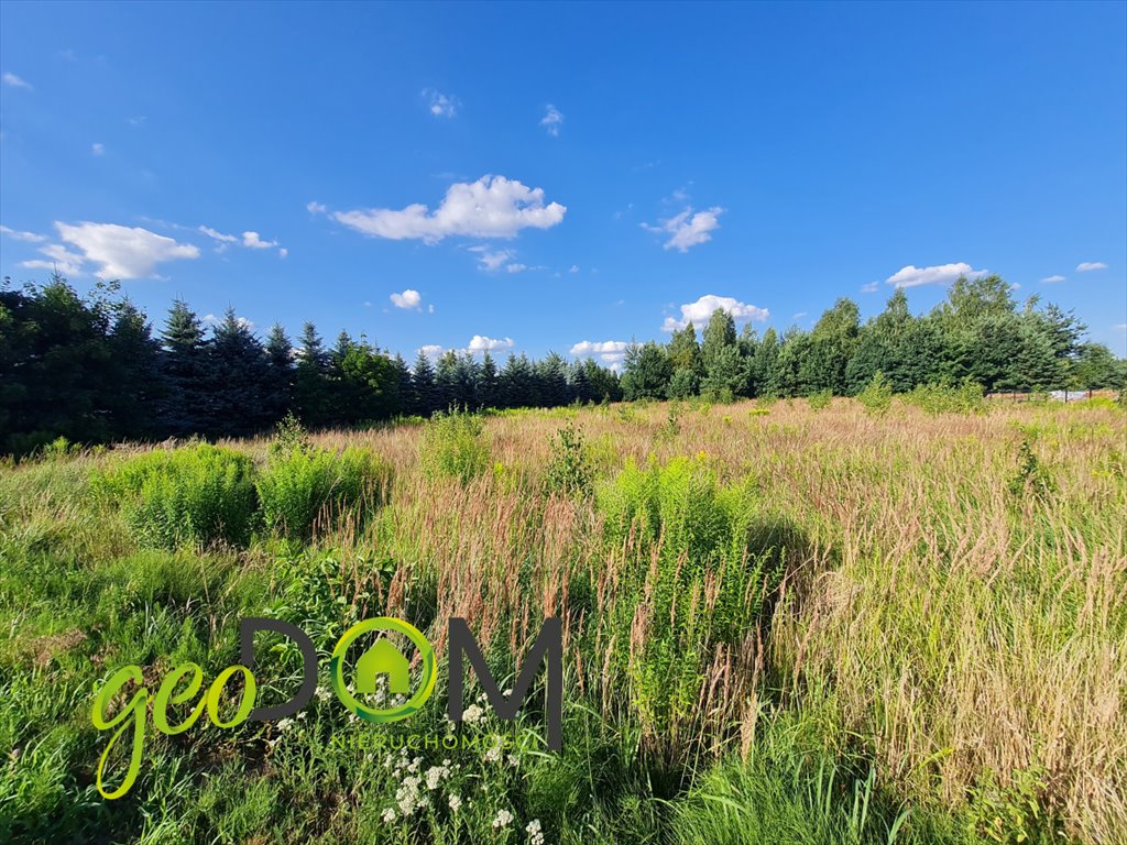 Działka budowlana na sprzedaż Niemce, Ignacego Bonawentury Budnego  2 769m2 Foto 11