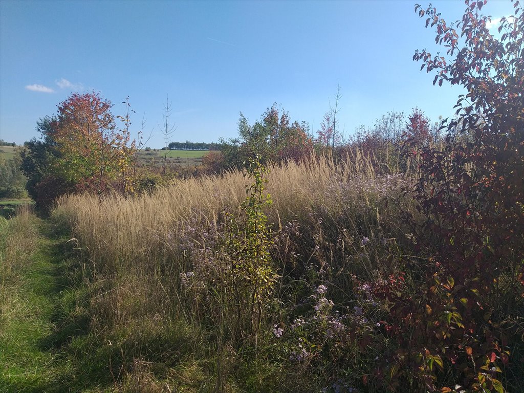 Działka rolna na sprzedaż Makowiska  1 133m2 Foto 3