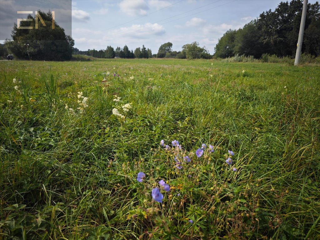 Działka budowlana na sprzedaż Głębokie  1 600m2 Foto 8