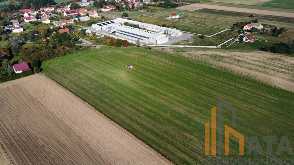 Działka budowlana na sprzedaż Kryniczno  12 400m2 Foto 5