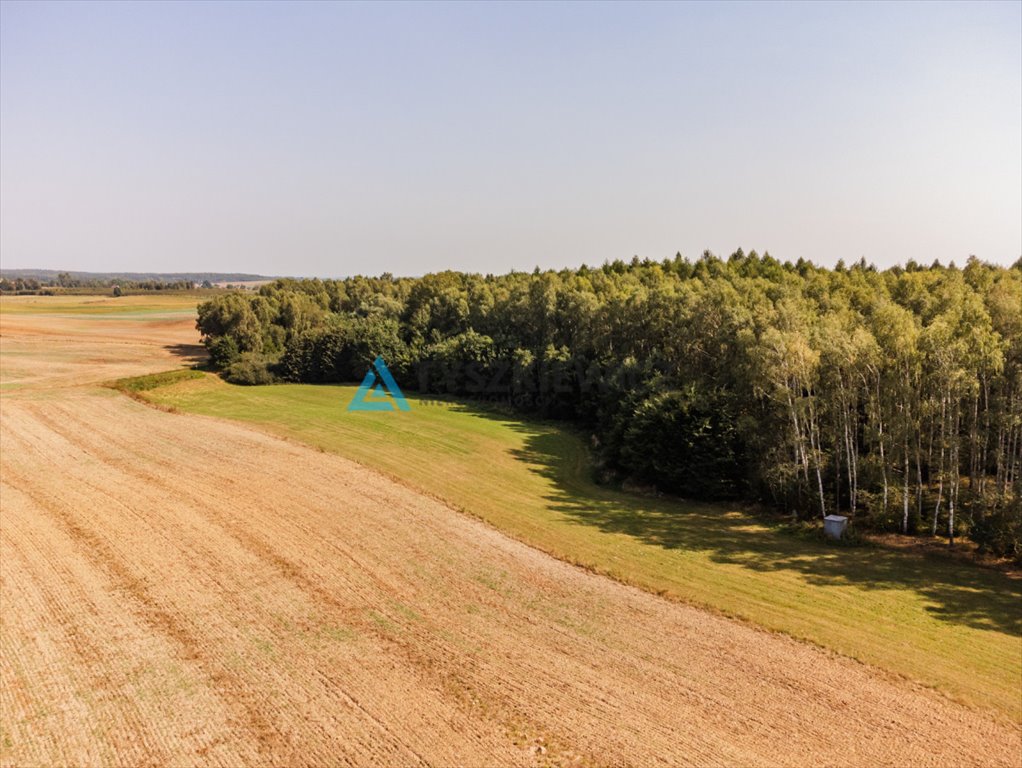 Działka rolna na sprzedaż Ełganowo, Macierzy Szkolnej  6 500m2 Foto 6