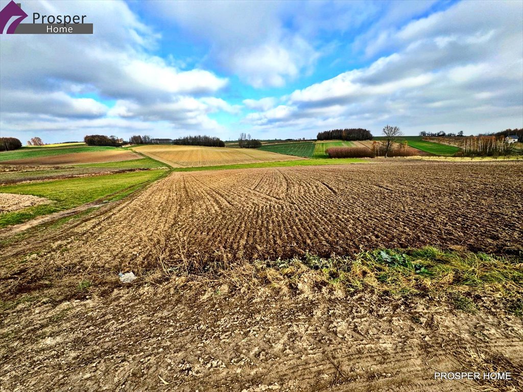 Działka rolna na sprzedaż Wola Zgłobieńska, Wola Zgłobieńska  4 400m2 Foto 5