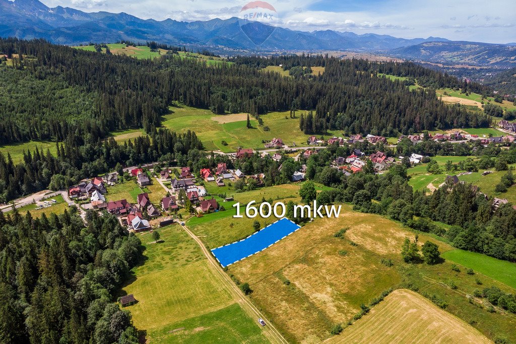 Działka rolna na sprzedaż Poronin, Stasikówka  5 888m2 Foto 4