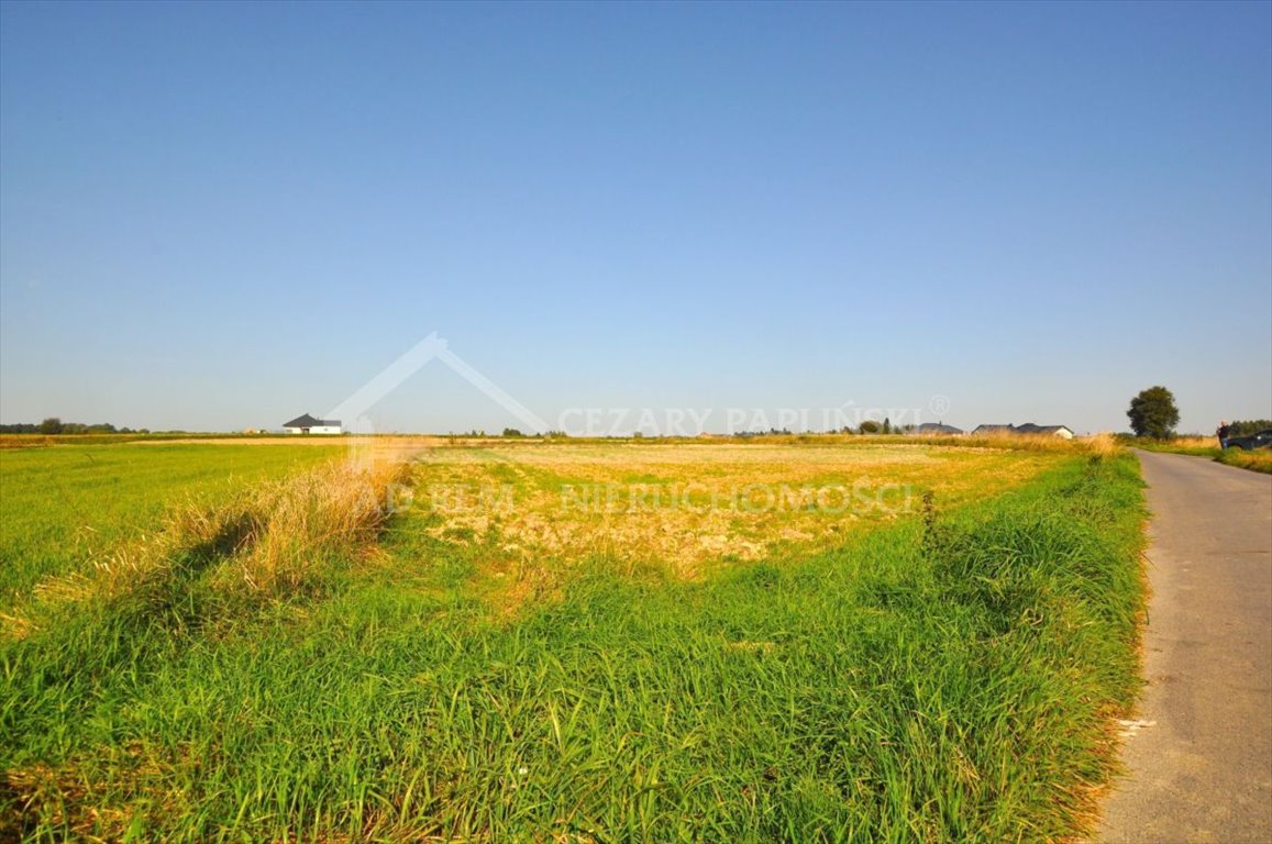 Działka budowlana na sprzedaż Radawiec Mały, Radawiec Mały  1 700m2 Foto 8