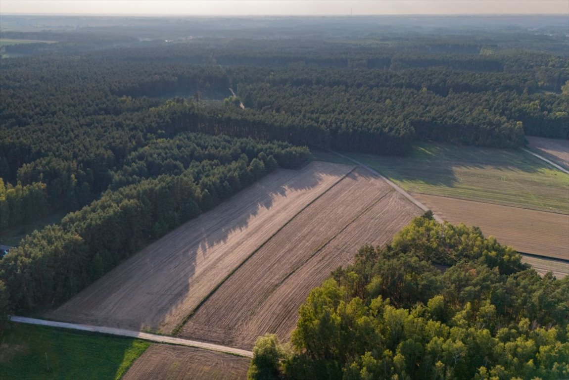 Działka rolna na sprzedaż Jesionka  6 800m2 Foto 12