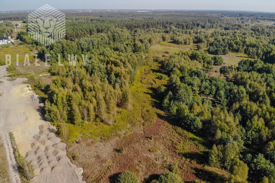 Zapraszam do zakupu działki 4500 m² z potencjałem inwestycyjnym Nadma, Rzeczna  4 500m2 Foto 1