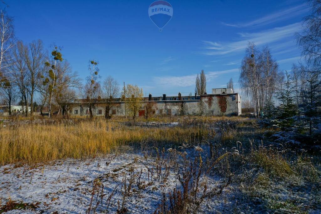 Magazyn na sprzedaż Sochaczew, Chodakowska  12 973m2 Foto 8