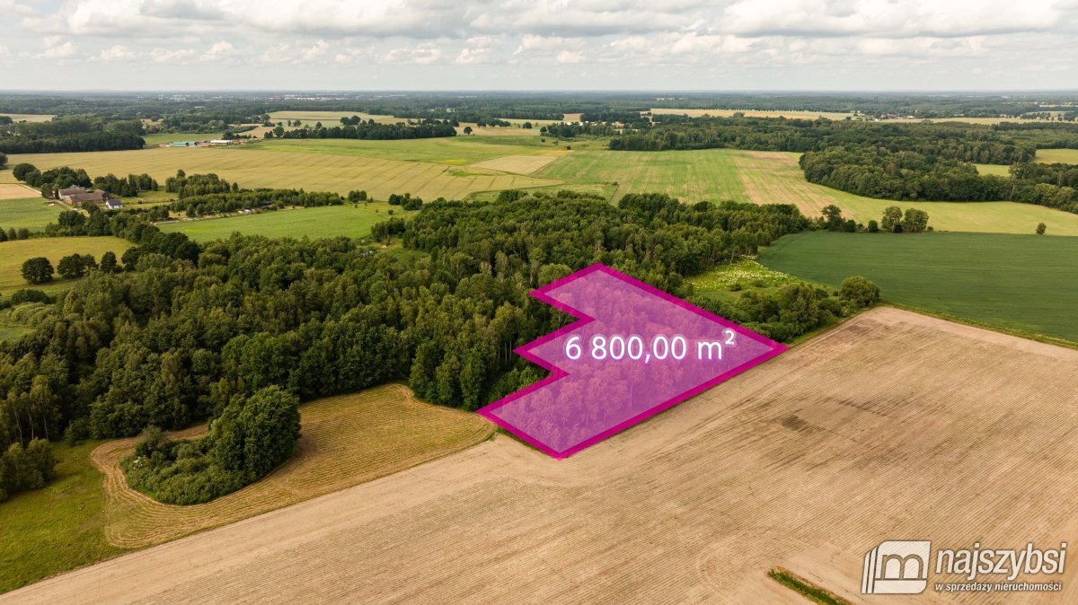 Działka rolna 0,68 ha w Krasnołęce – spokój i potencjał inwestycyjny Nowogard, Krasnołęka  6 800m2 Foto 1