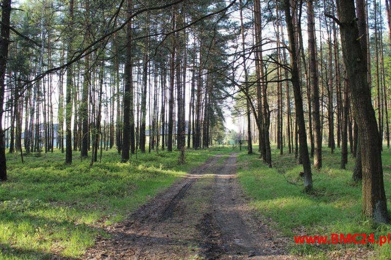 Działka leśna na sprzedaż Mikołeska, Pniowiecka  16 200m2 Foto 3