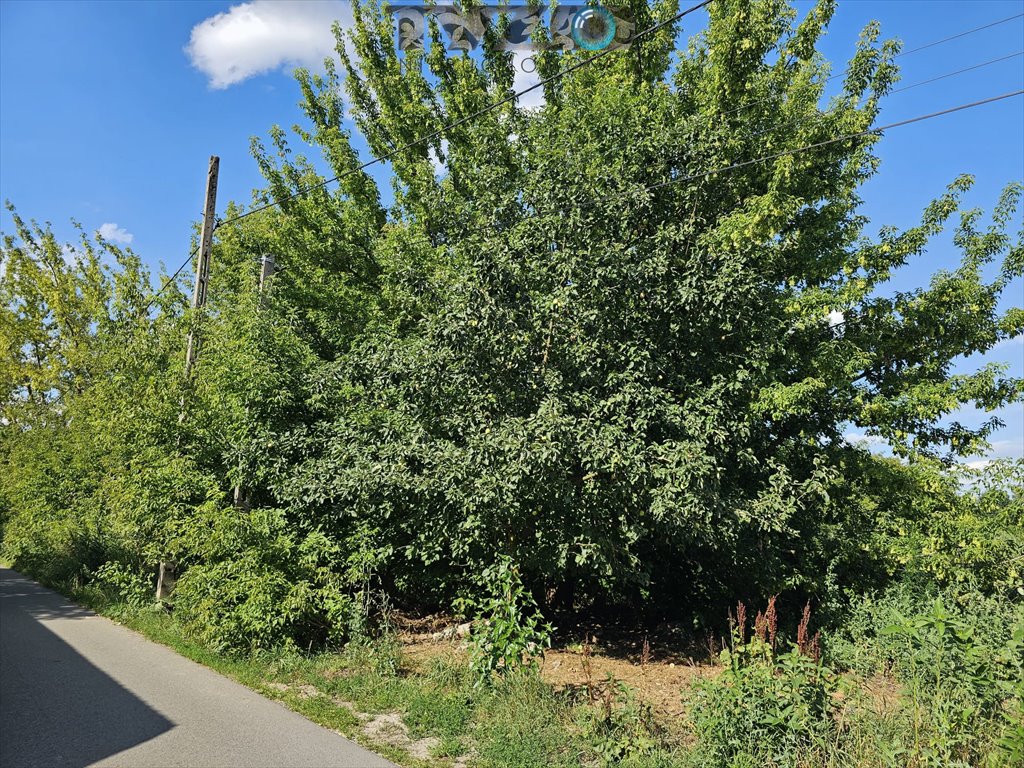 Działka budowlana na sprzedaż Warszawa, Wawer, Zerzeń, Borków  3 000m2 Foto 3