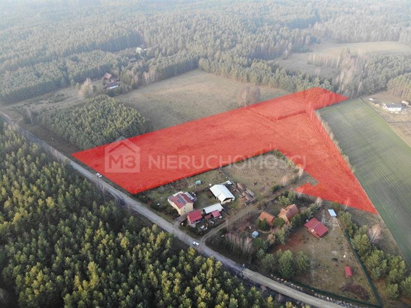 Działka 16 200 m² z dostępem do drogi i mediami Osowo Leśne, Osowo Leśne  16 200m2 Foto 1