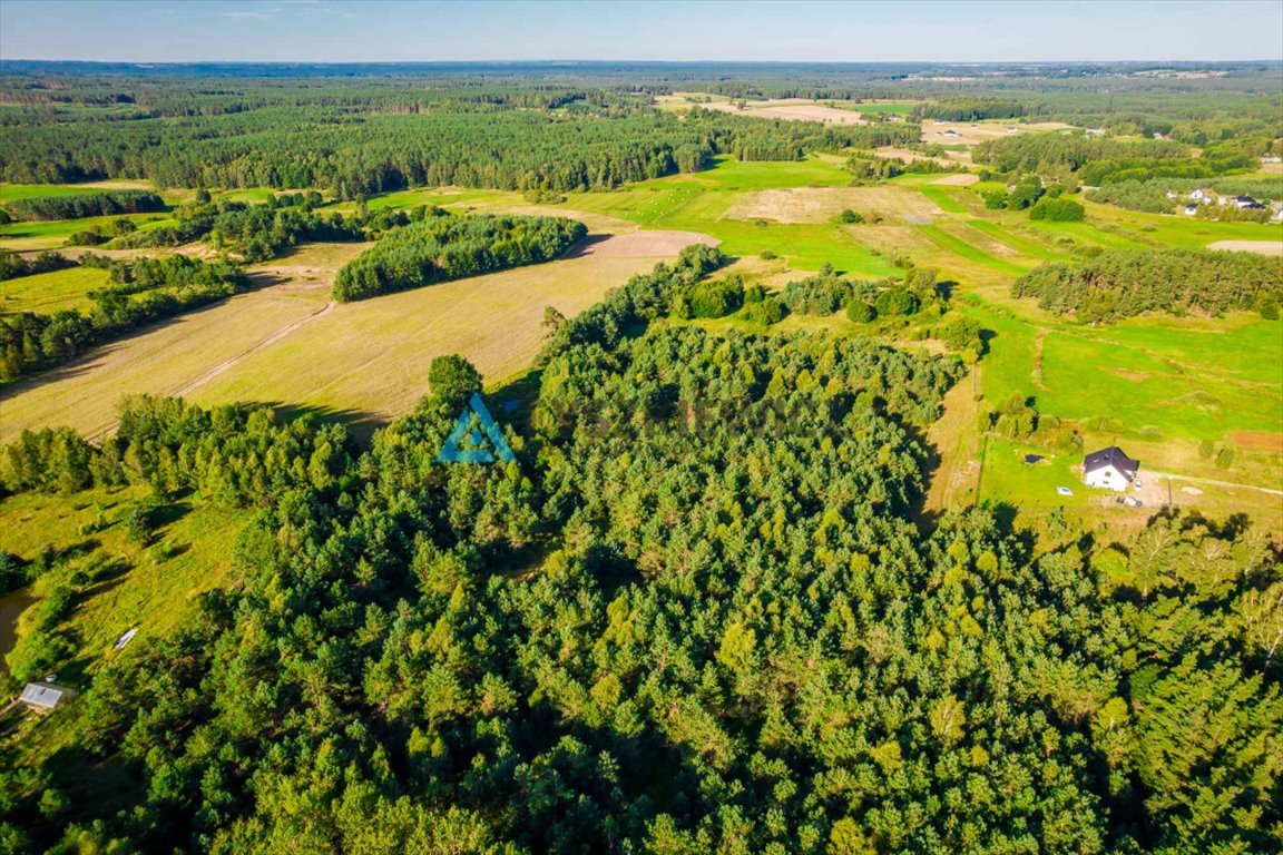 Działka siedliskowa na sprzedaż Rokity  10 001m2 Foto 10