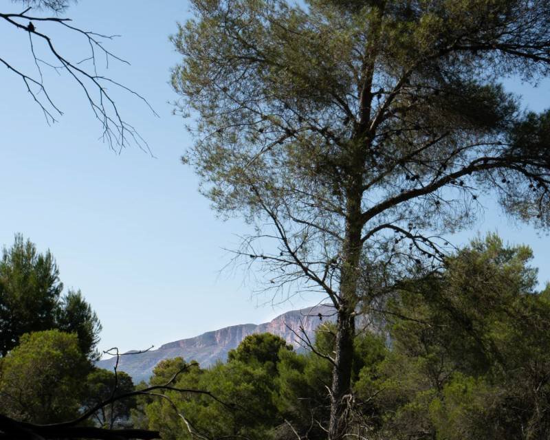 Działka budowlana na sprzedaż Hiszpania, Javea, Hiszpania, Rafalet  1 100m2 Foto 3