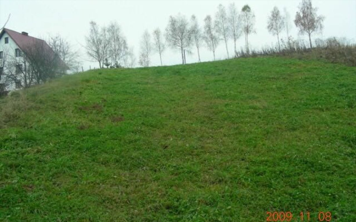 Działka budowlana na sprzedaż Rzepiennik Strzyżewski, RZEPIENNIK STRZYŻEWSKI  18 300m2 Foto 3