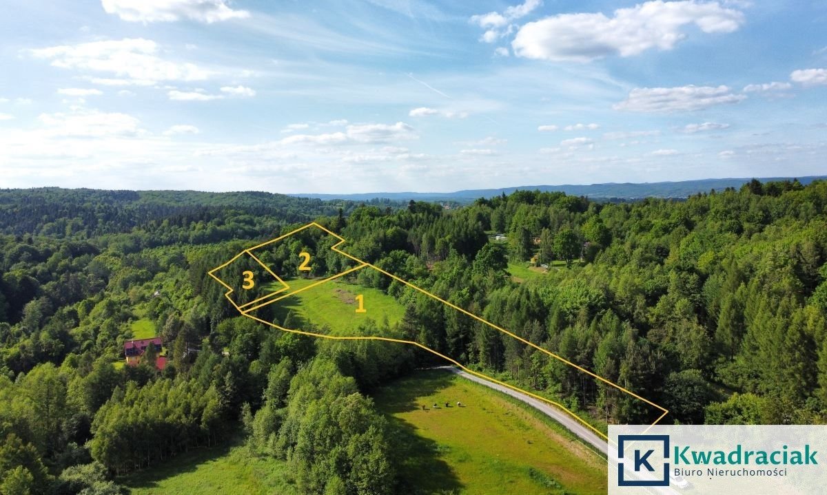 Działka budowlana na sprzedaż Turze Pole  18 050m2 Foto 1
