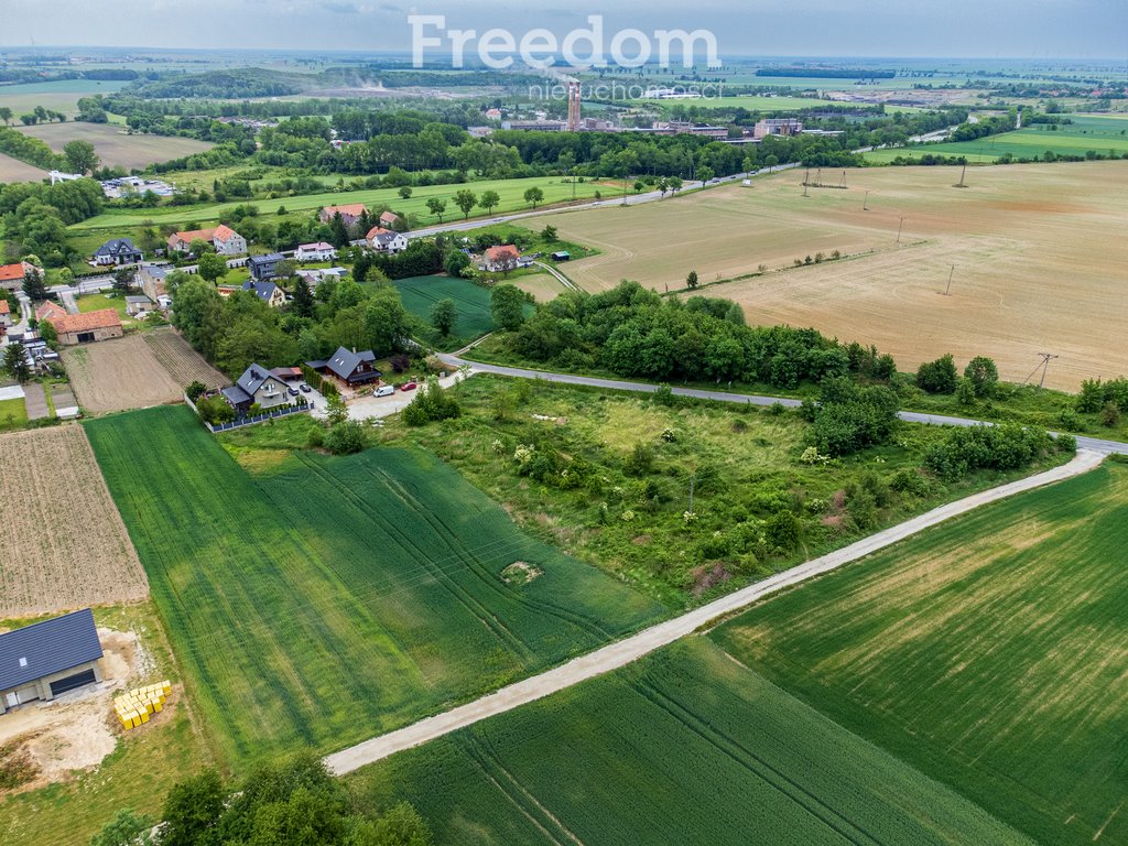 Działka budowlana na sprzedaż Jaroszów  11 828m2 Foto 3