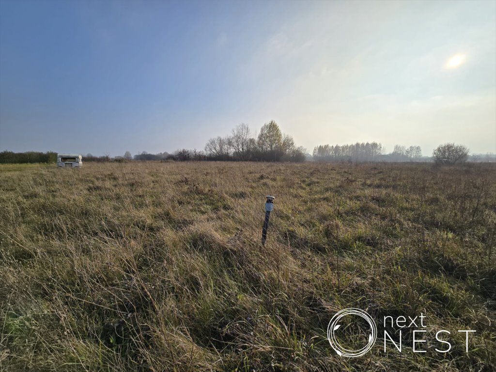 Działka siedliskowa na sprzedaż Wilczkowice Dolne  8 000m2 Foto 4