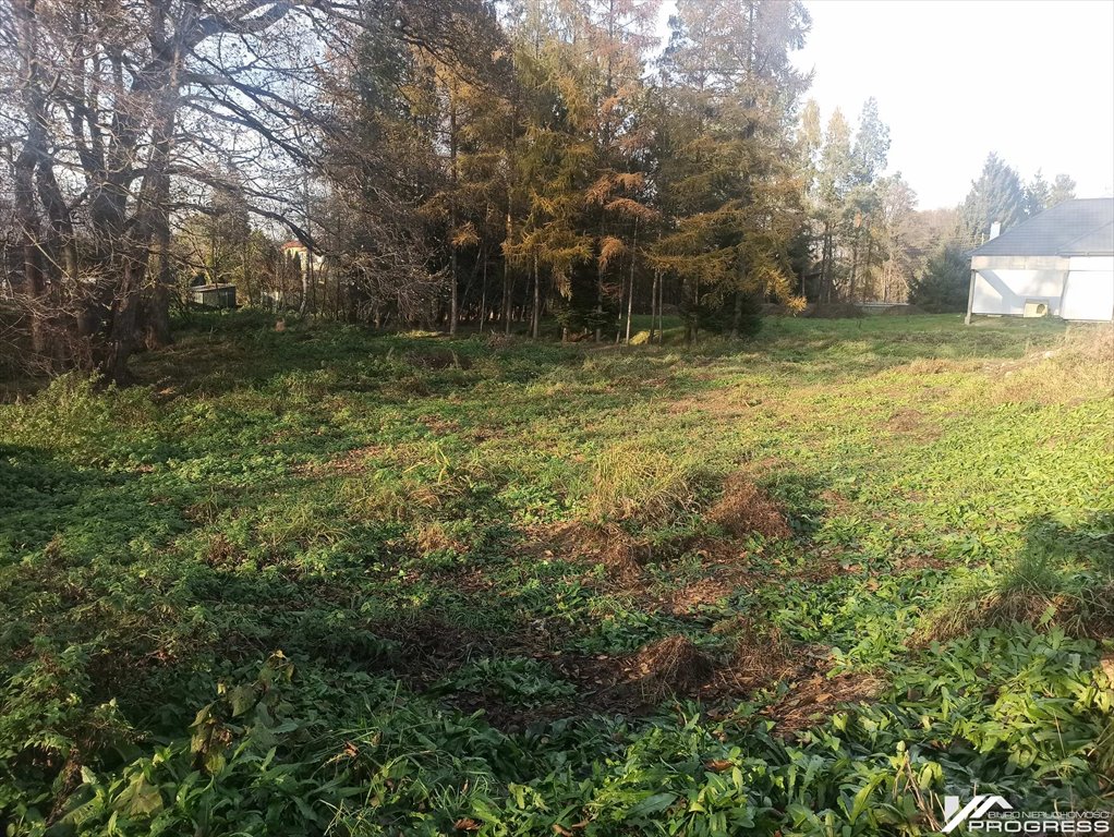 Działka budowlana na sprzedaż Krosno, Turaszówka, Klonowa  1 962m2 Foto 3