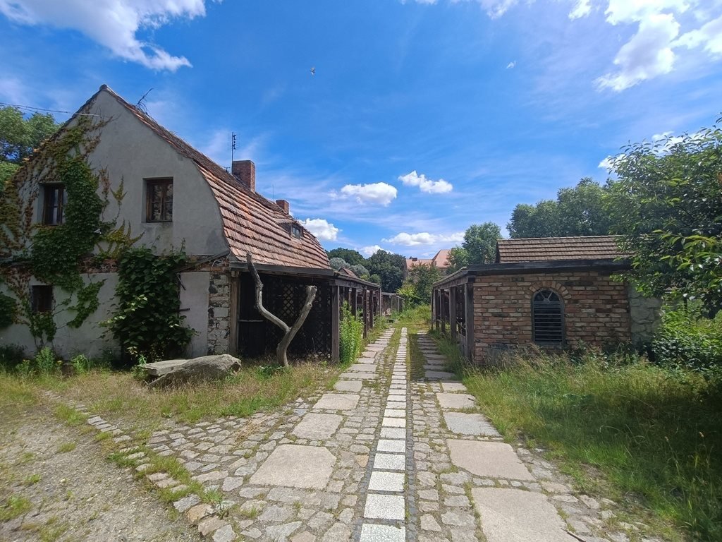 Działka budowlana na sprzedaż Kunów  126 800m2 Foto 9