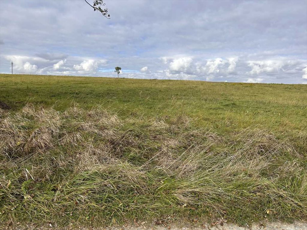 Działka budowlana na sprzedaż Wojciechowice  1 441m2 Foto 5