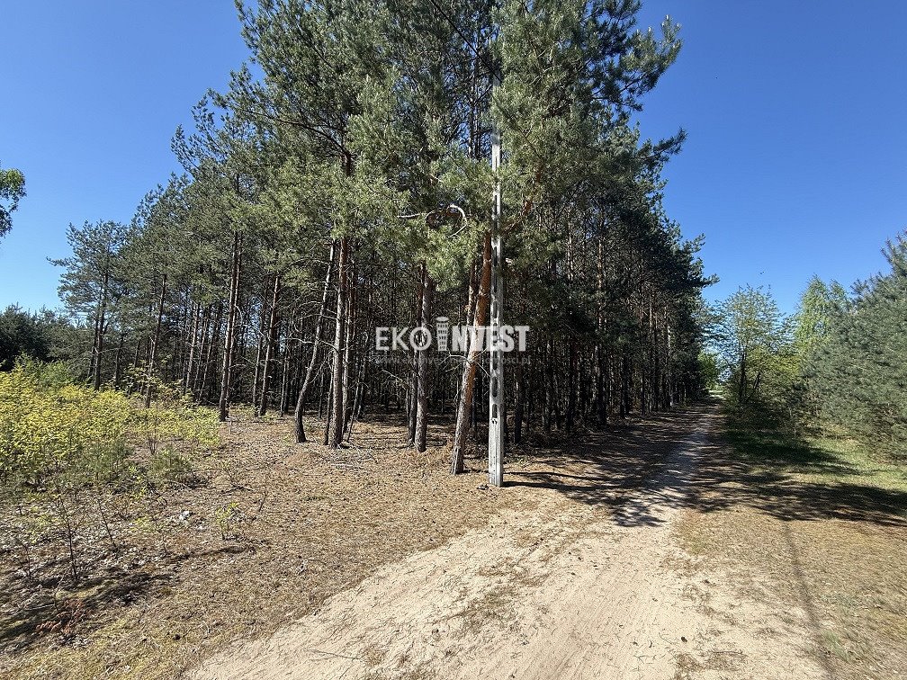 Zapraszam do zakupu działki 1310 m² w lesie, blisko Warszawy Cieńsza, Cieńsza  1 310m2 Foto 1