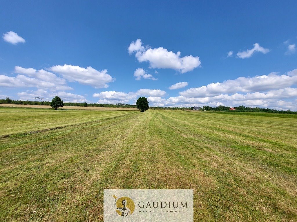 Działka 16 600 m² w Leśnie - inwestycje i siedlisko Leśno  16 600m2 Foto 1