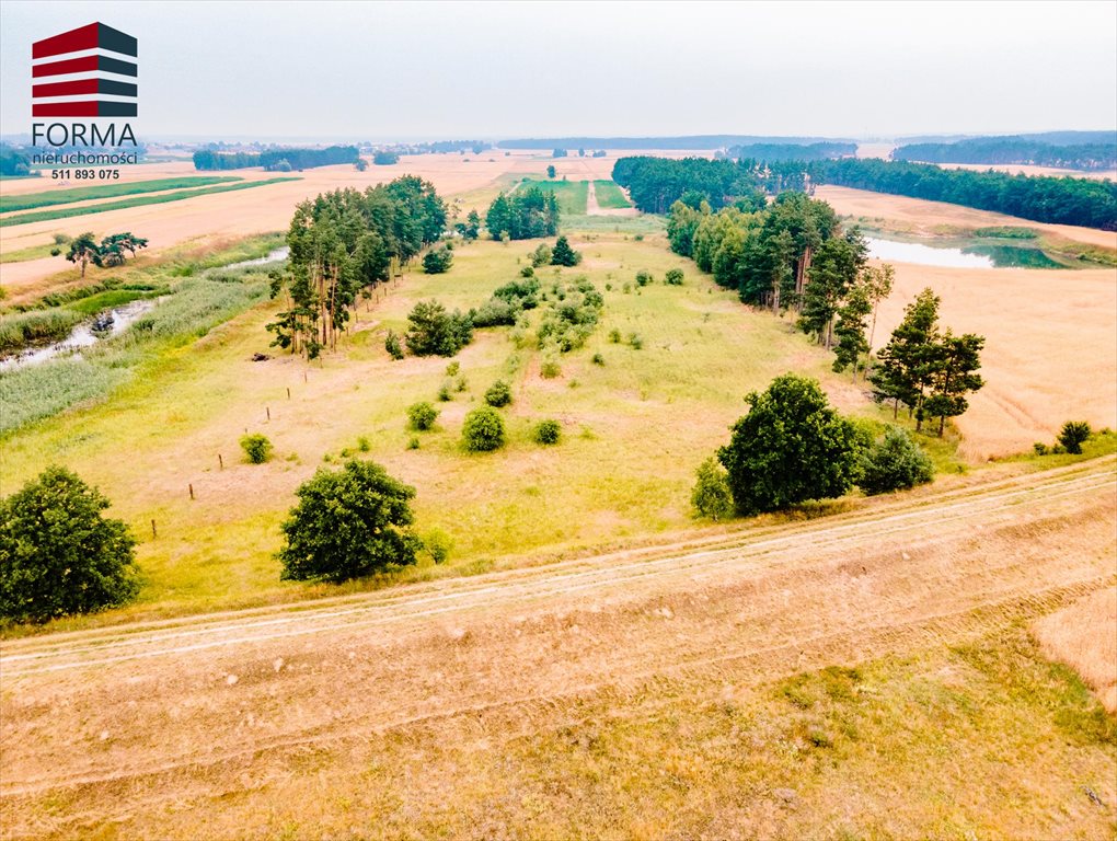 Działka leśna na sprzedaż Pięczkowo, Pięczkowo, sportowa 212/1  35 280m2 Foto 13