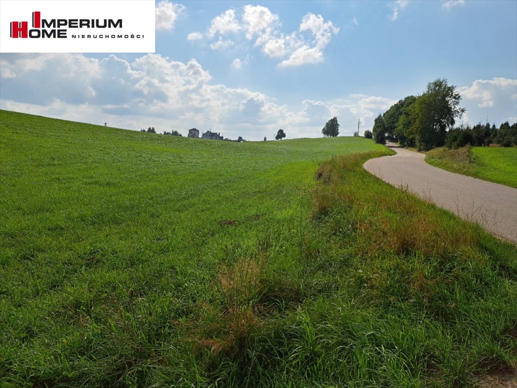 18 ha z jeziorami i lasami – inwestycja lub rekreacja Borzestowska Huta  180 000m2 Foto 1