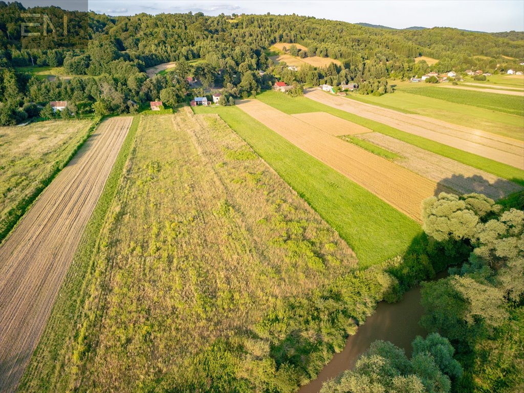 Działka rolna na sprzedaż Kobyle  7 200m2 Foto 7