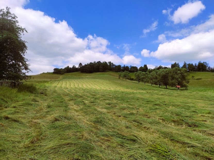 Działka budowlana na sprzedaż Teleśnica Oszwarowa  24 700m2 Foto 3