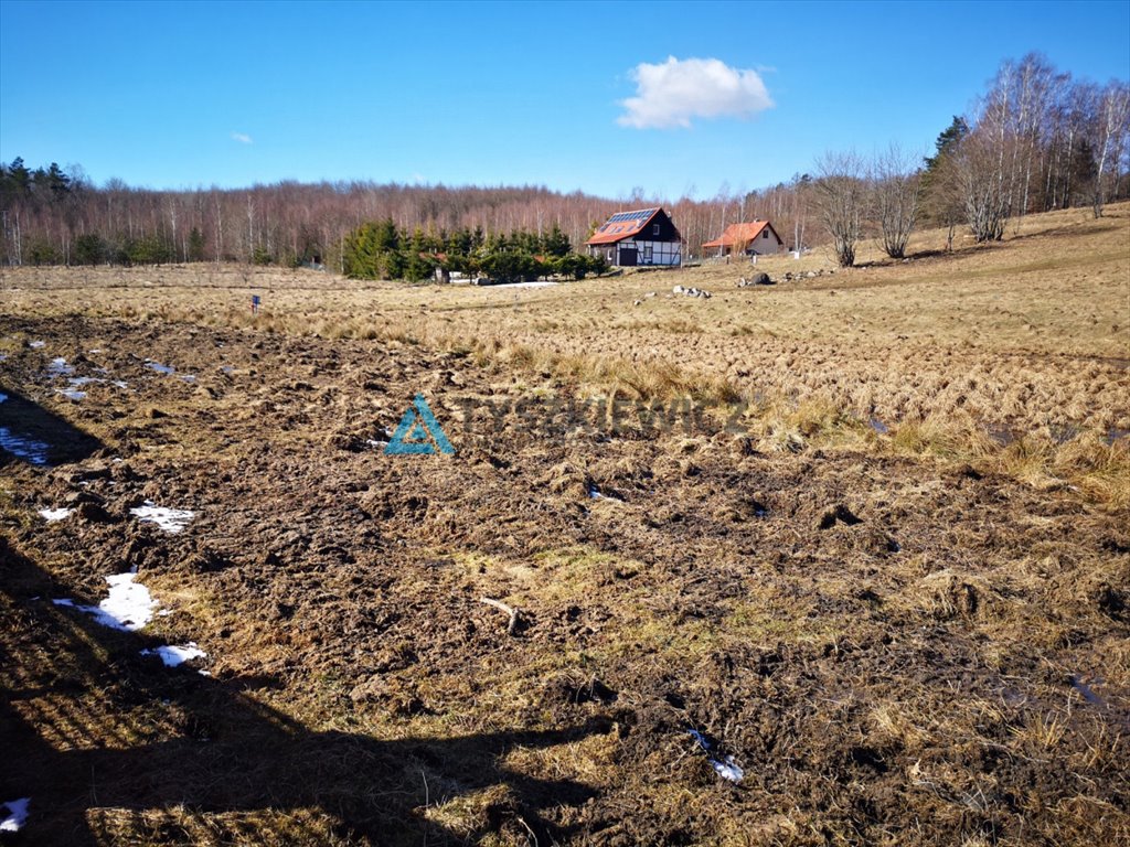 Działka budowlana na sprzedaż Gromadzin  2 907m2 Foto 8