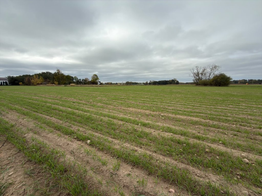 Działki budowlane w Cholewach - własny dom blisko Płońska. Cholewy  3 000m2 Foto 1