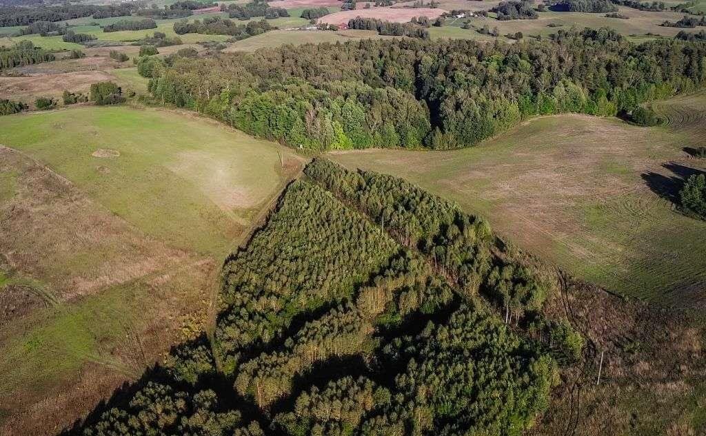 Działka rolna na sprzedaż Nasy  5 466m2 Foto 12