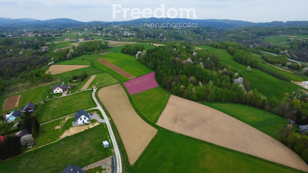 Działka budowlana na sprzedaż Jasienica Rosielna  2 829m2 Foto 5