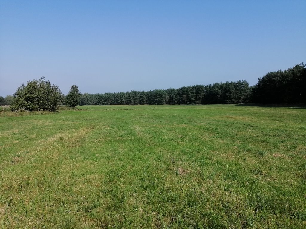 Działka 3002 m2 pod zabudowę w Łęgach, las, media, dojazd Łęgi  3 002m2 Foto 1