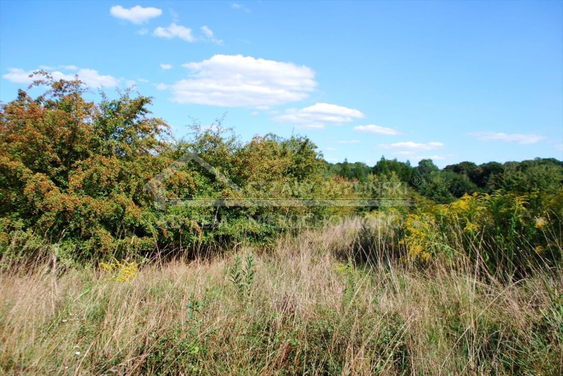 Działka budowlana na sprzedaż Snopków, Snopków, gmina Jastków  16 144m2 Foto 11