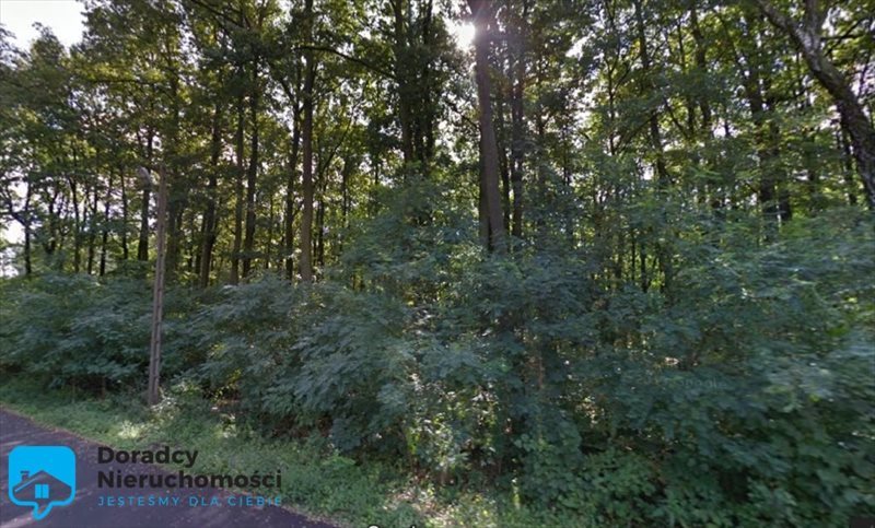 Działka budowlana na sprzedaż Głowno 1 169m2 Foto 1 Działka budowlana na sprzedaż Głowno 1 169m2 Foto 1
