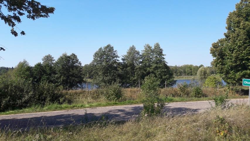 Działka 5000 m² z widokiem na jezioro i lasy - zapraszam Olszewo  5 000m2 Foto 1