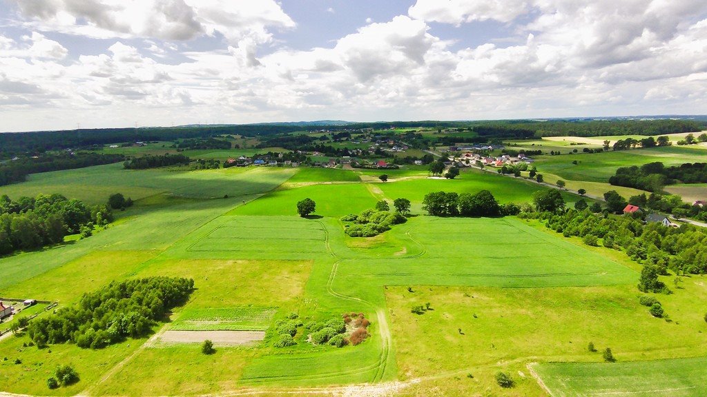 Działka budowlana na sprzedaż Borcz, Spokojna  1 292m2 Foto 11