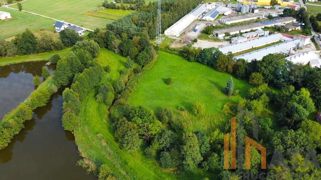 Działka budowlana na sprzedaż Sokołowice  10 000m2 Foto 2