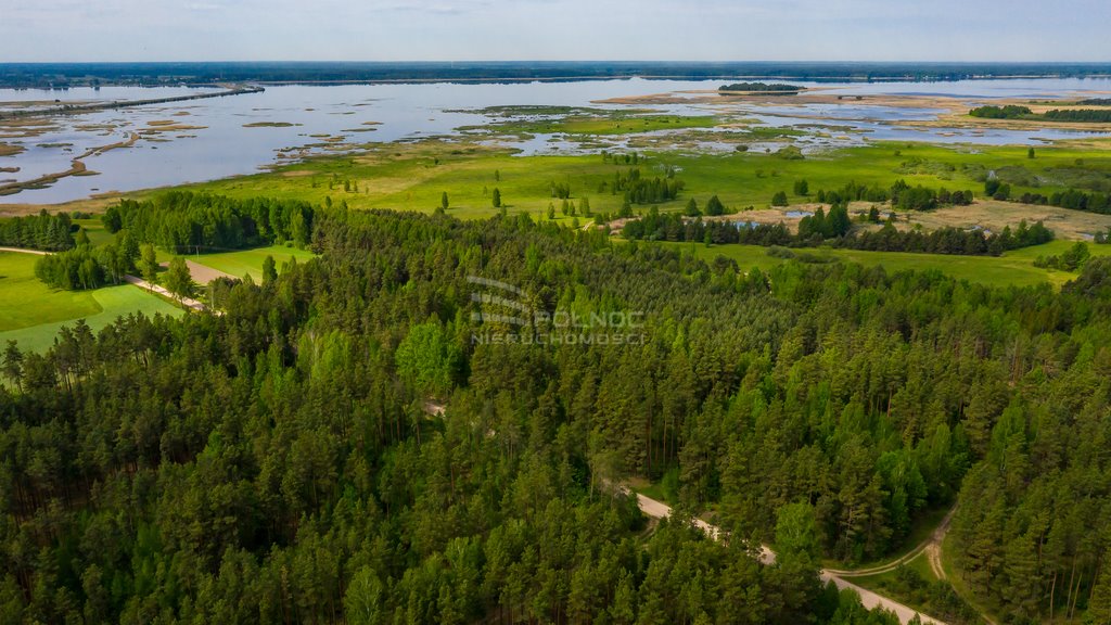 Działka rolna na sprzedaż Cisówka  32 000m2 Foto 2