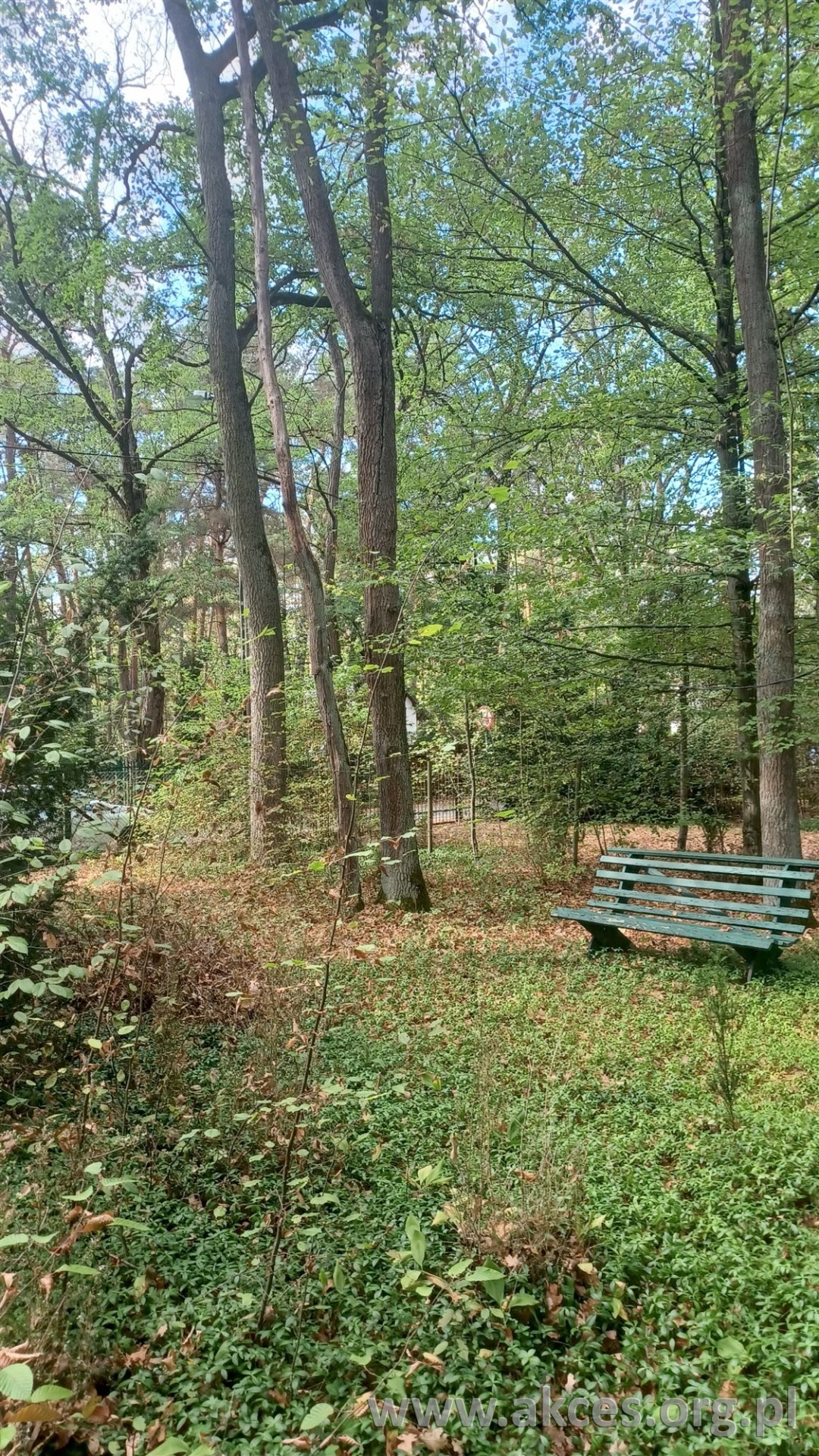 Polecam działkę 2030 m² z domkiem w Zalesiu Górnym Zalesie Górne  2 030m2 Foto 1
