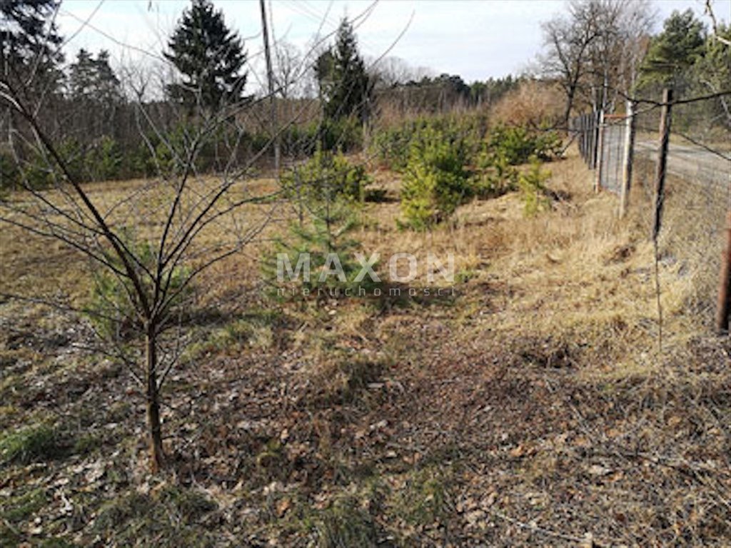 Działka siedliskowa na sprzedaż Wólka Pracka  30 000m2 Foto 6