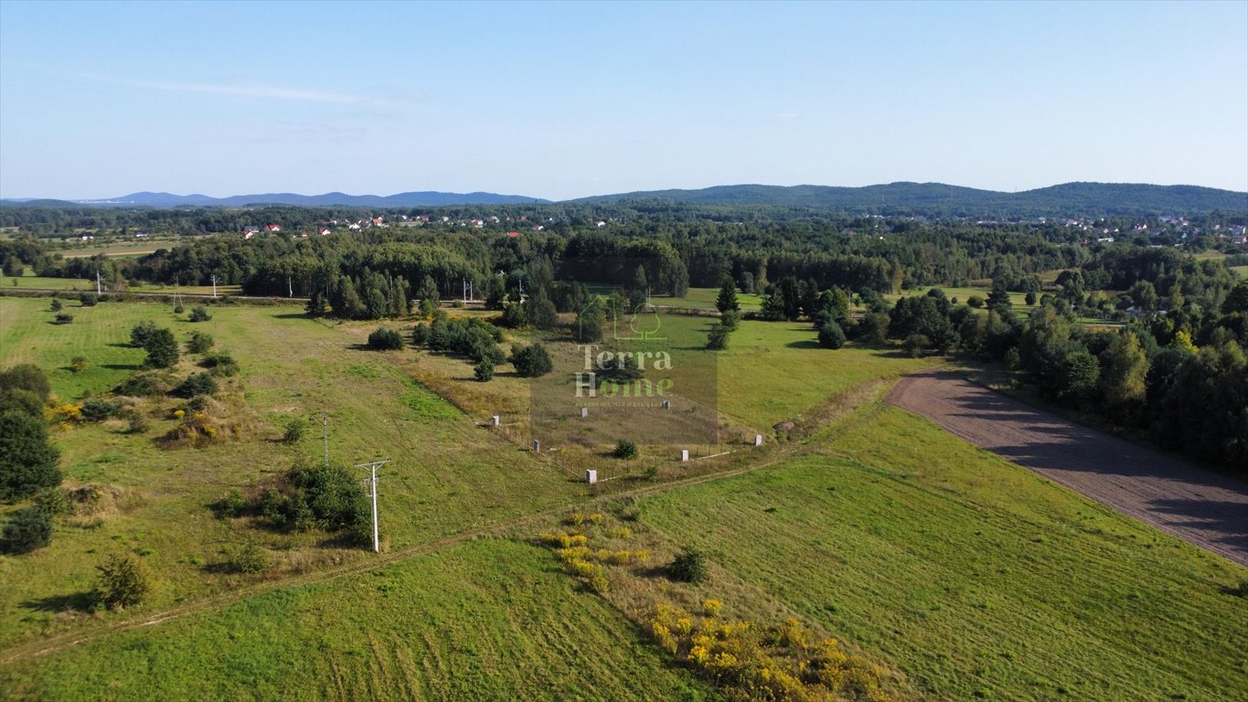 Działka budowlana na sprzedaż Piekoszów  1 111m2 Foto 4