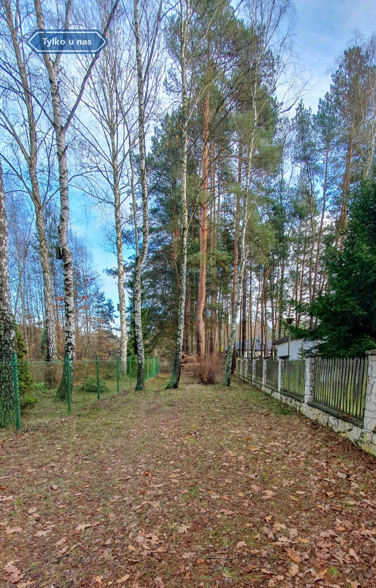 Działka budowlana na sprzedaż Ostrów, Działkowa  1 369m2 Foto 7