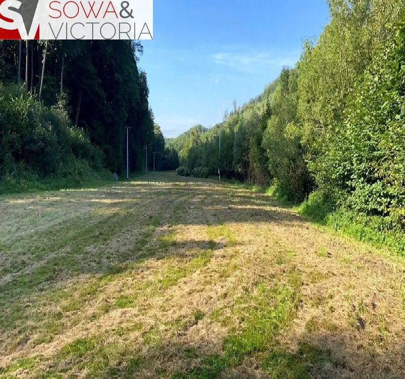 Działka inna na sprzedaż Walim  1 300m2 Foto 2