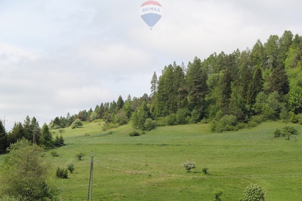 Działka leśna na sprzedaż Krośnica  8 049m2 Foto 6