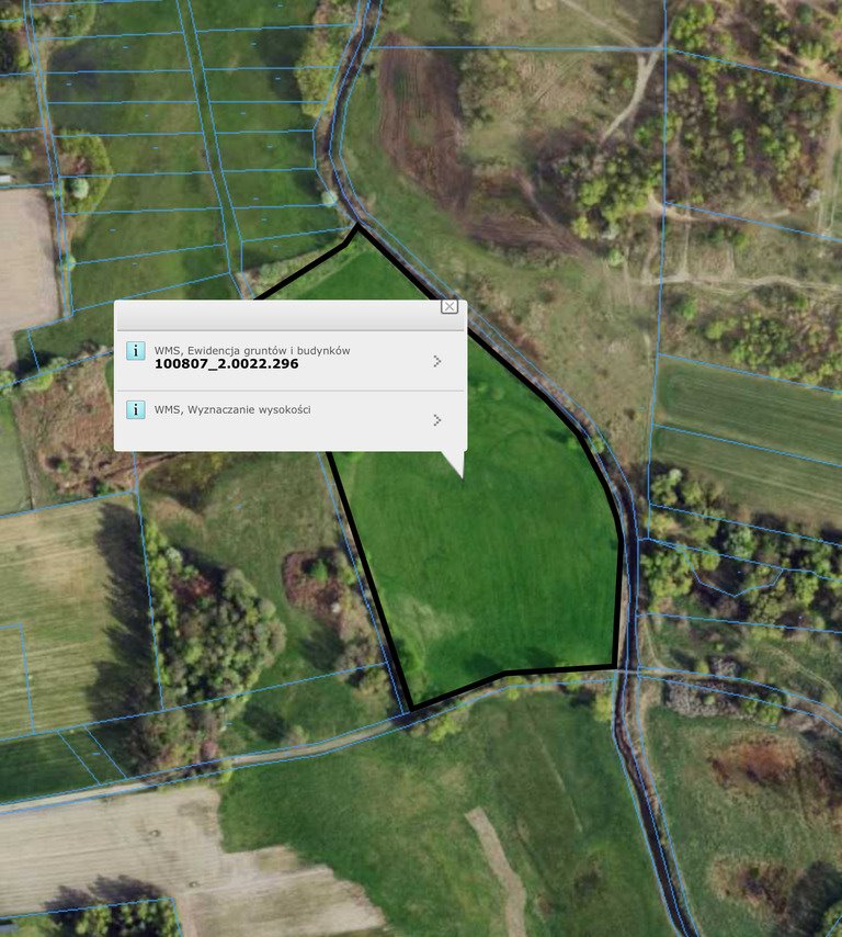 Działka rolna na sprzedaż Pabianice  20 000m2 Foto 1