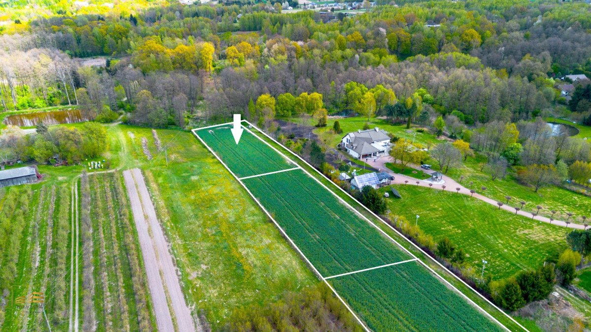 Działka 3000 m² przy lesie i Wąwozie Motycz Grodzisko Motycz  3 000m2 Foto 1