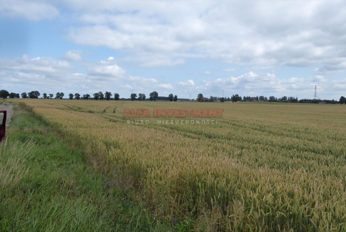 Działka rolna na sprzedaż Grębocin, Przydatki  104 300m2 Foto 5